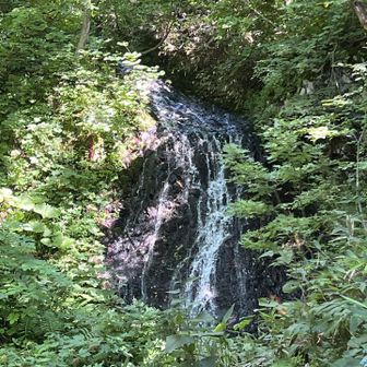 布敷の滝を横目に登り続ける
この辺りが中間地点か