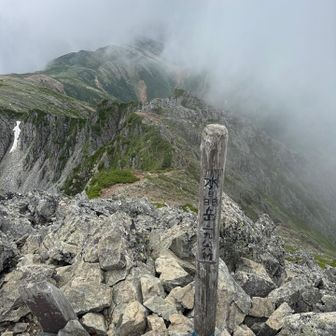 ここまでくるの、岩場切り立ち、ちと怖いです…
水晶岳はハシゴが一つだけありましたが、鎖やハシゴある登山道の方がよっぽど安全だと、少しの学び…