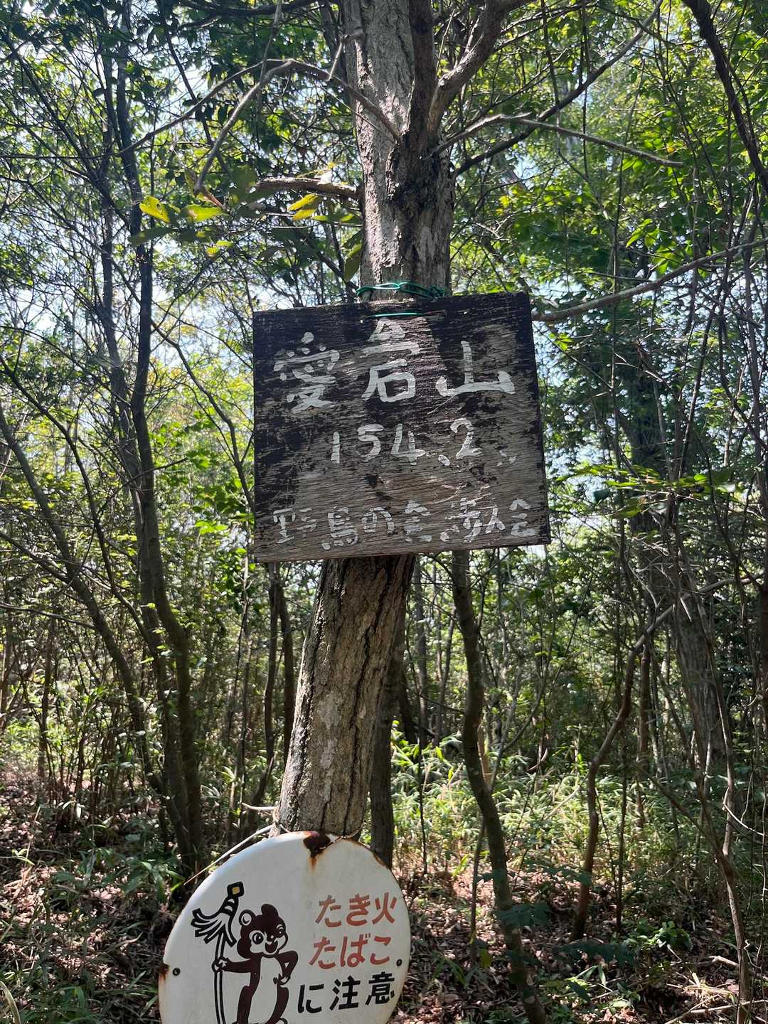 白雲谷温泉ゆぴか登山口-高山-日光峠-安場山 往復コースの写真