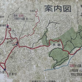 山道から車道(管理道？)に出合ったら
経ヶ塚登山口
ここまで🚙で来れそう？
もう来ないけど🤣