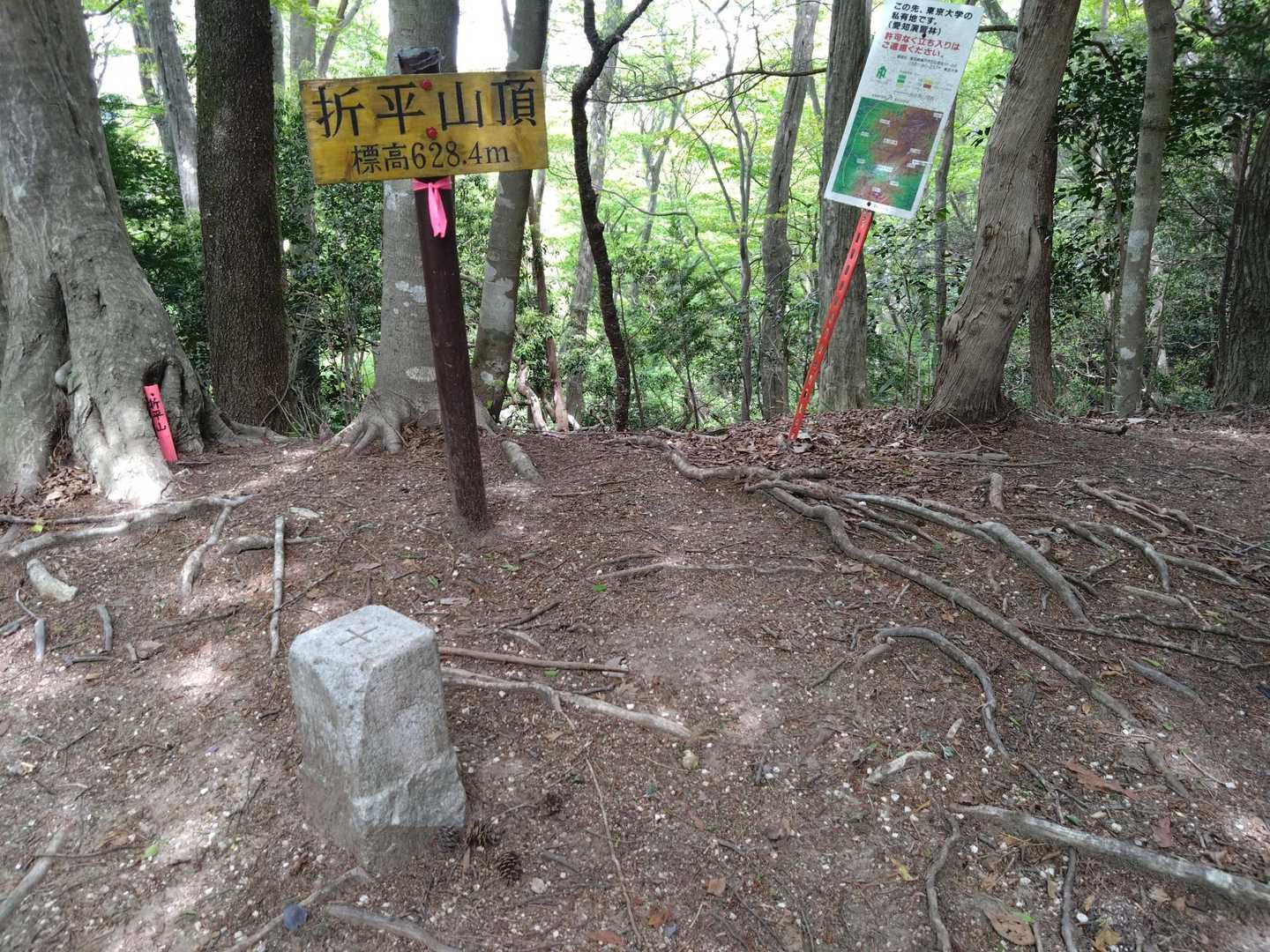 折平山だけハントして高根山は
もう、いいかっ！
で下山
もう彼女の頭の中は🥪しかないので🤣
