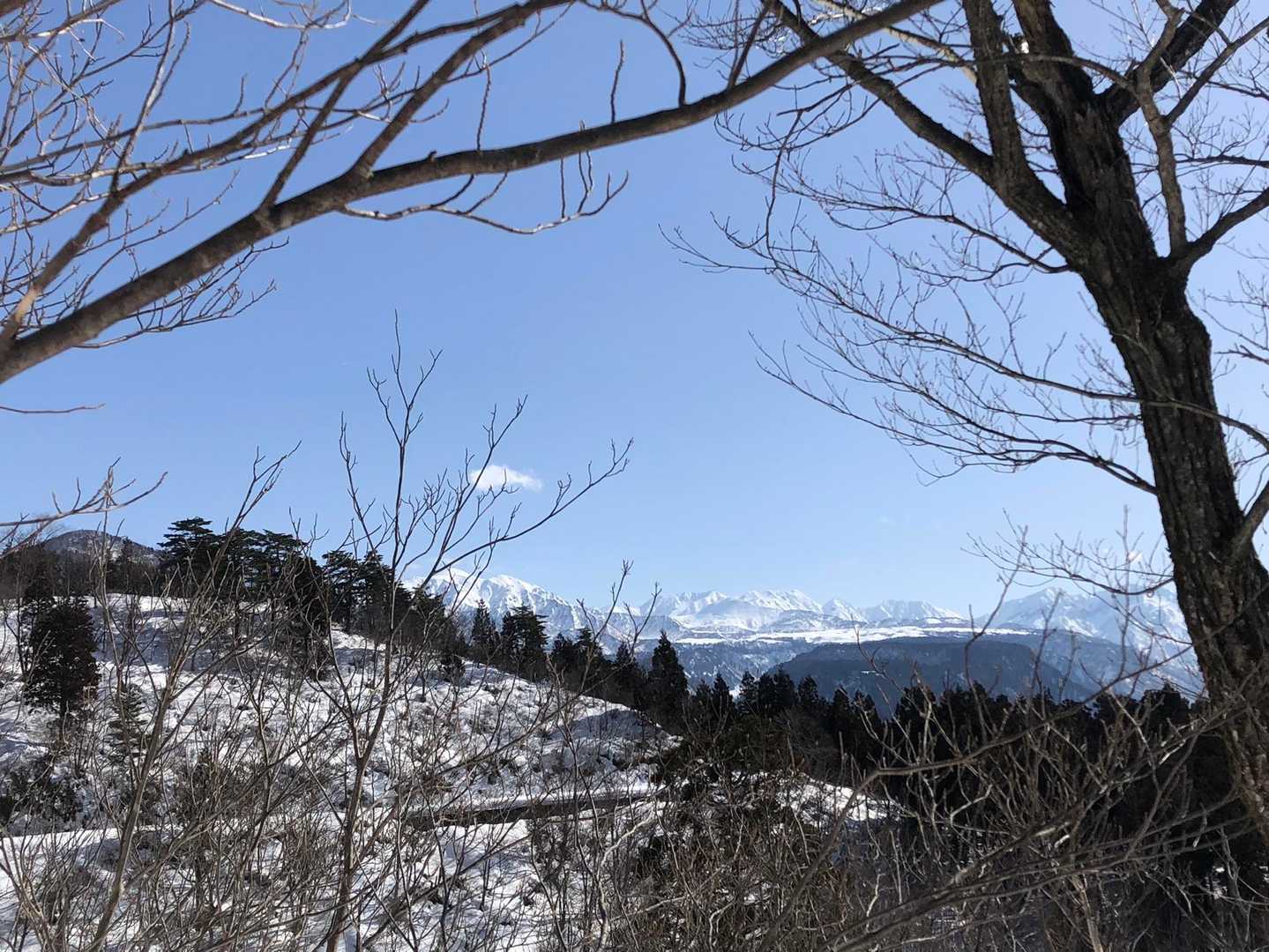 大丸山-来拝山 往復コースの写真
