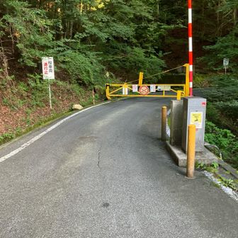 林道歩き出発