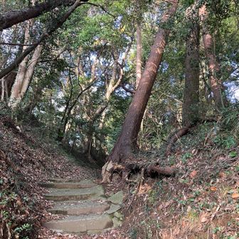 側高（そばだか）神社・山崎城址へ寄り道