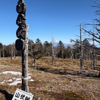 山伏山頂