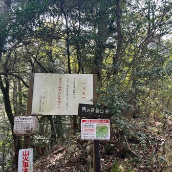 わっくわく！🌳