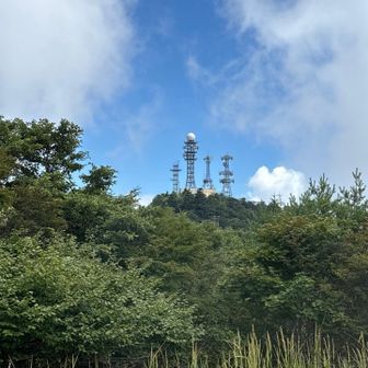 電波塔