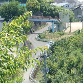 わたしらの車

思いっきり路駐やけど
駐車場を聞くと誰もが教えてくれる場所