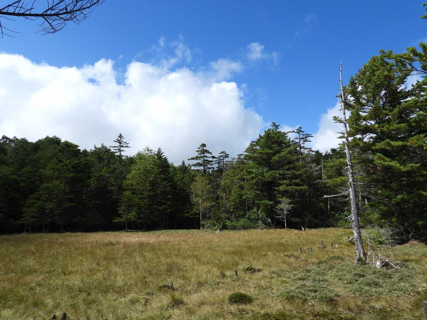 湿原も晴れてきました☀