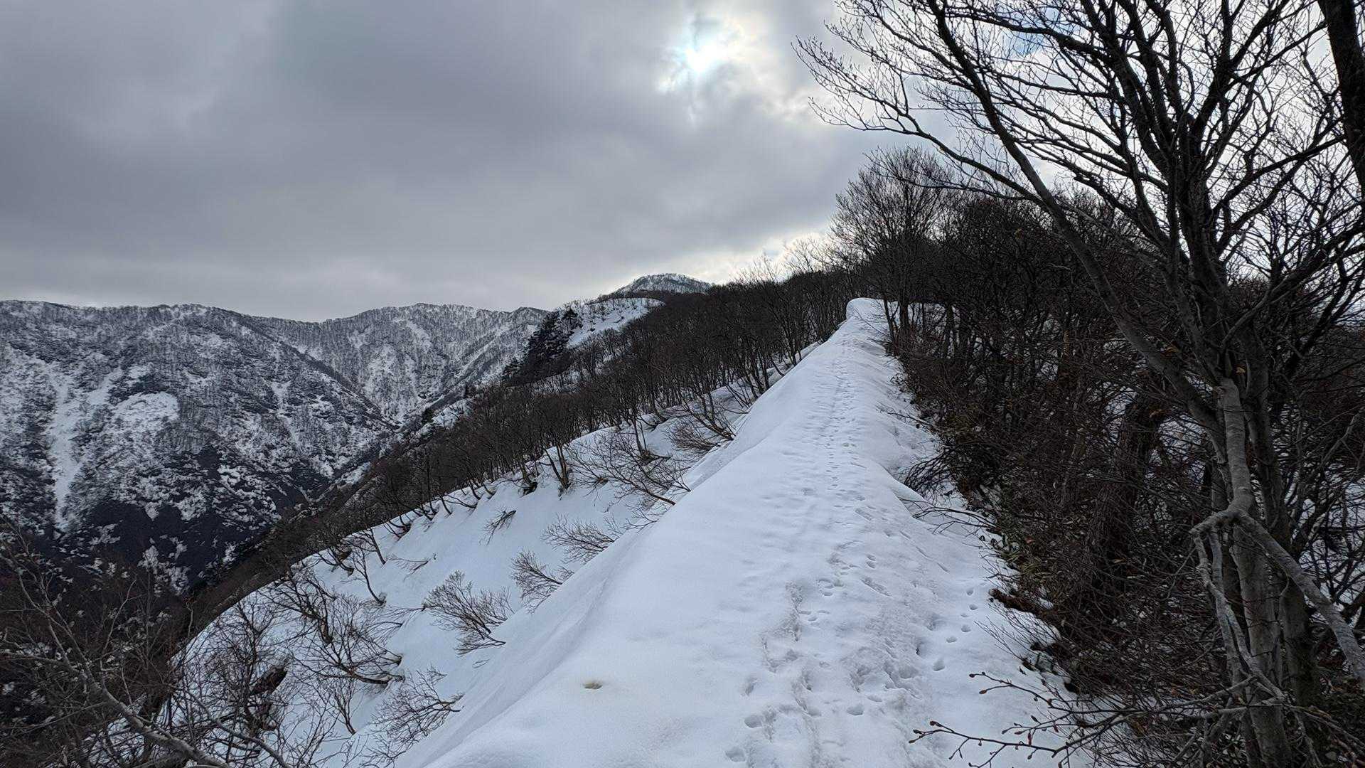 細め…ですが、問題なし🫡