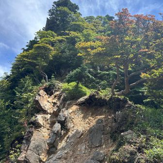 自分の力を過信せず
あかん！と思ったら引き返します