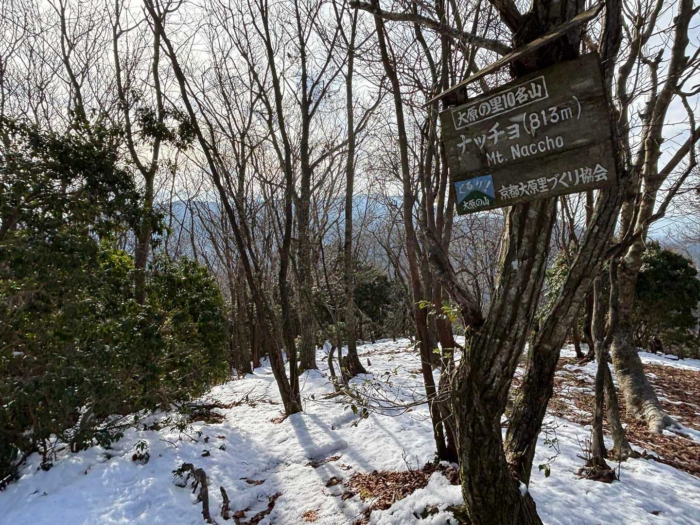 大原の里10名山の9座目です😊
