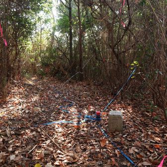 山頂は眺望無しです。