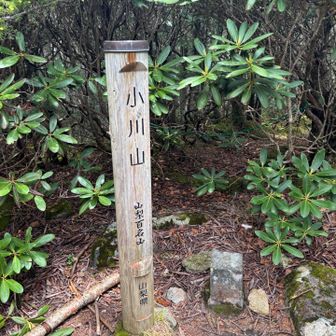 小川山の山頂標識。これで山梨百名山は87座目。信州百名山49座目