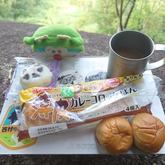 ってコトで、おつやぁ〜🫓
お気に入りのＵＦＯ焼きそばパンは、もぉ売ってなくて😥んでも、ＣｏＣｏ壱🍛のカレーコロッケパンが🤩❗ｳﾏｳﾏ🐴

、、、辰えもん、岩の向こう側に危うく転げ落ちそうになった💦