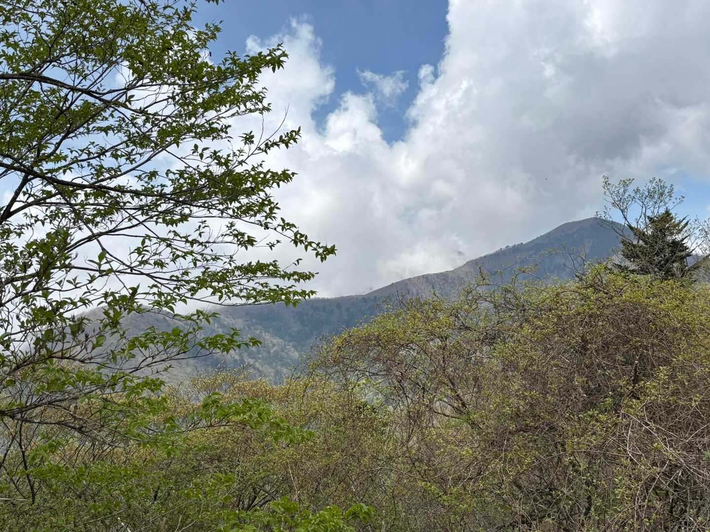 釈迦ヶ岳だぁ。✨✨登りたくなった😆