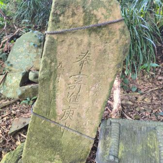 享保九年建立の庚申供養碑。

この当時の庚申供養は、三尸（さんし）の虫が天帝に告げ口しないように寝ずに明かすのではなく、一晩中みんなでワイワイ飲み明かす娯楽に変貌していたらしい。
