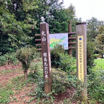 と、その前に証拠写真❗️