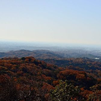 豊田側が見れる場所