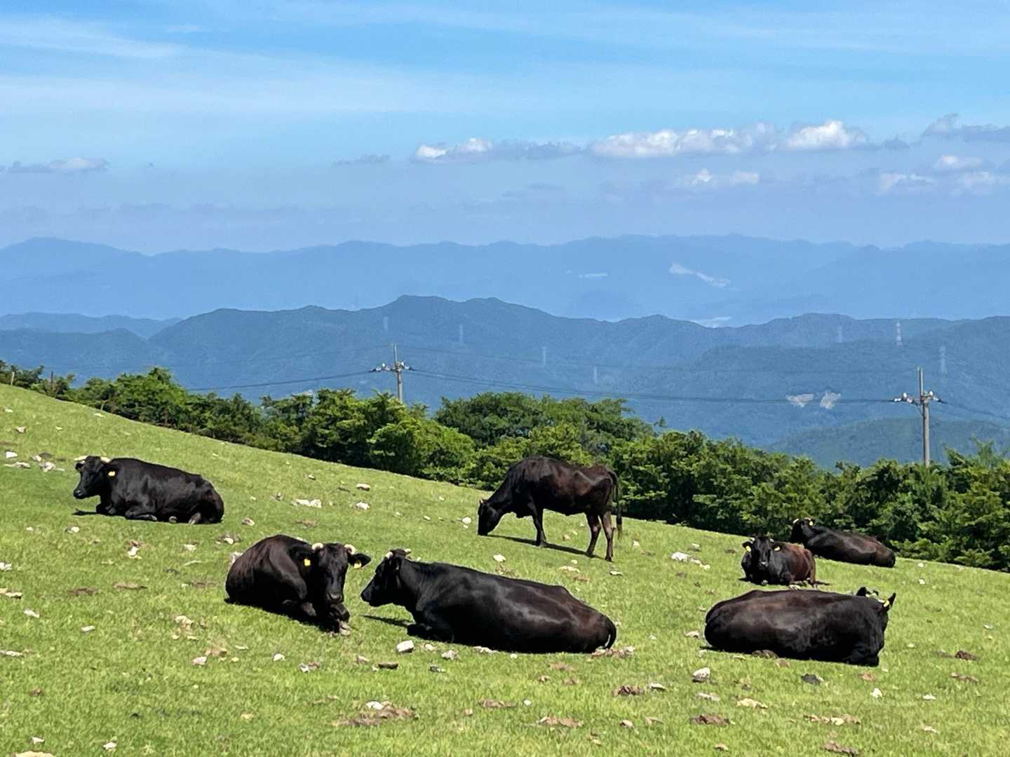 旭ヶ丸-高鉾山-高鉾山 周回コースの写真