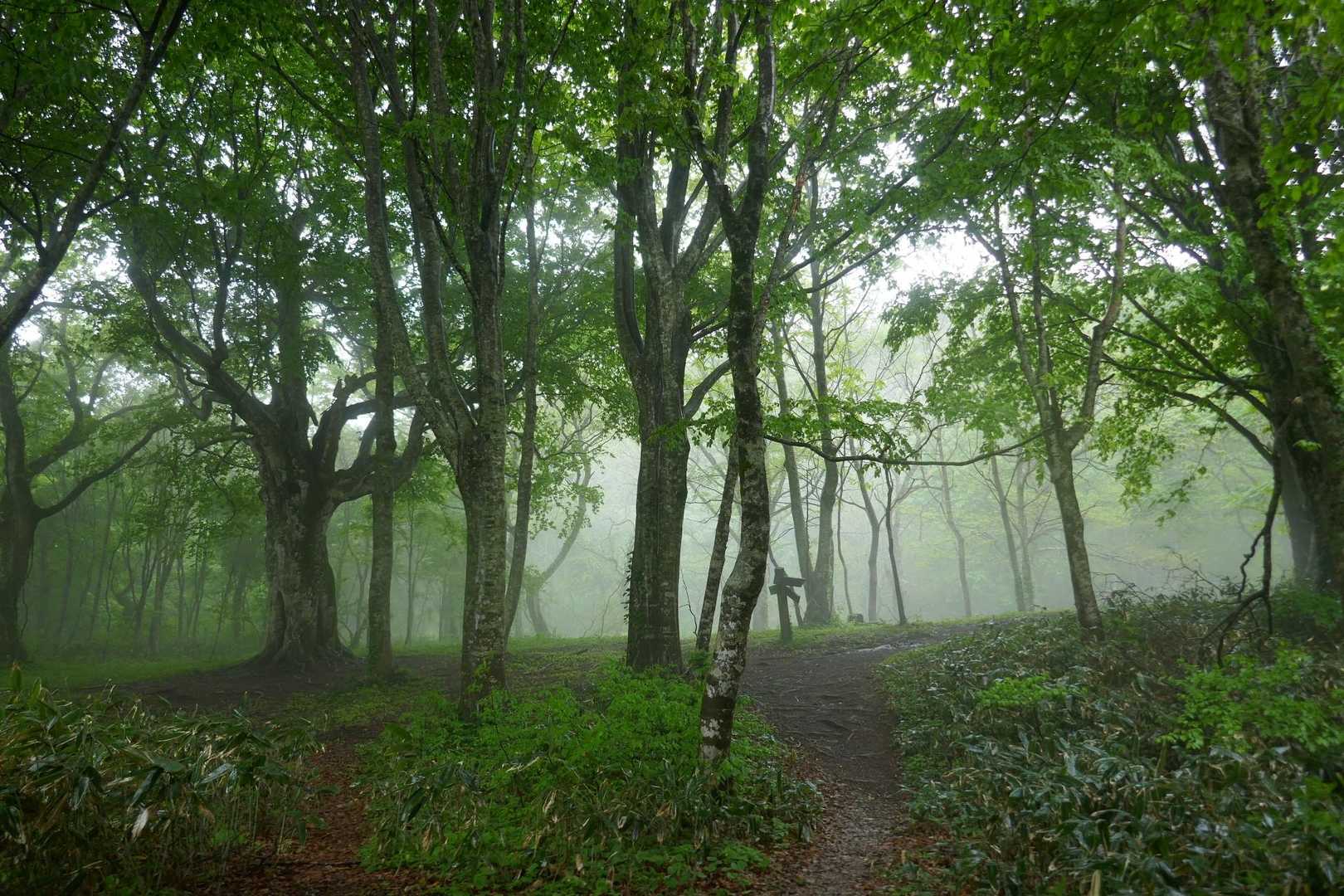 寺屋敷南広場