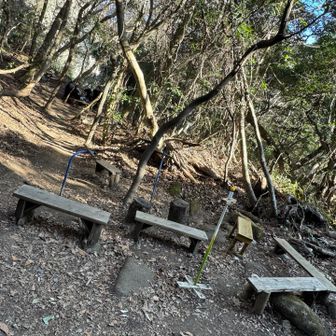 ここも。手前から奥の方までベンチが増えている