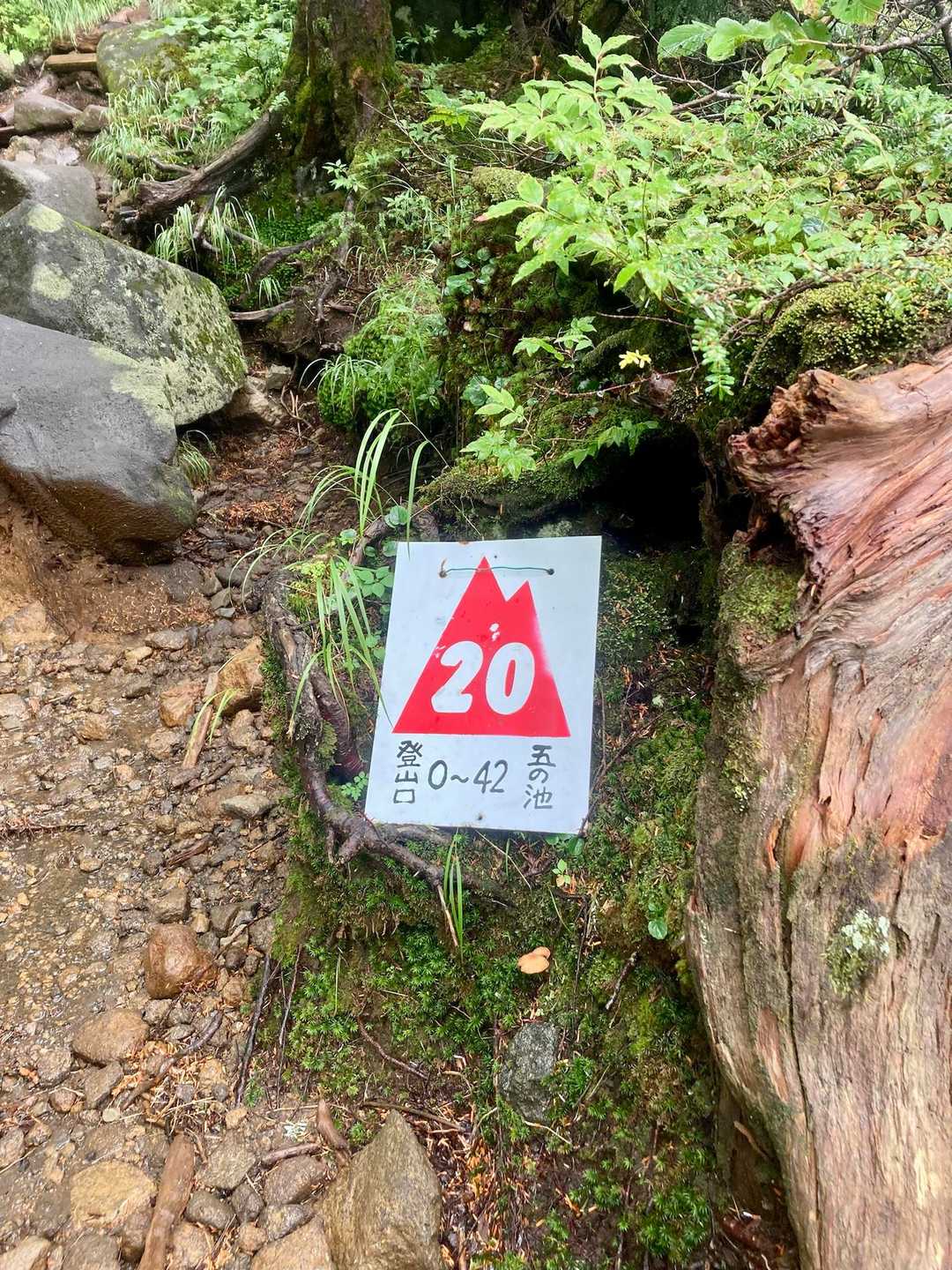 結構歩いたつもりなんだけど、
20/42ってまだ半分着てないじゃん‼️