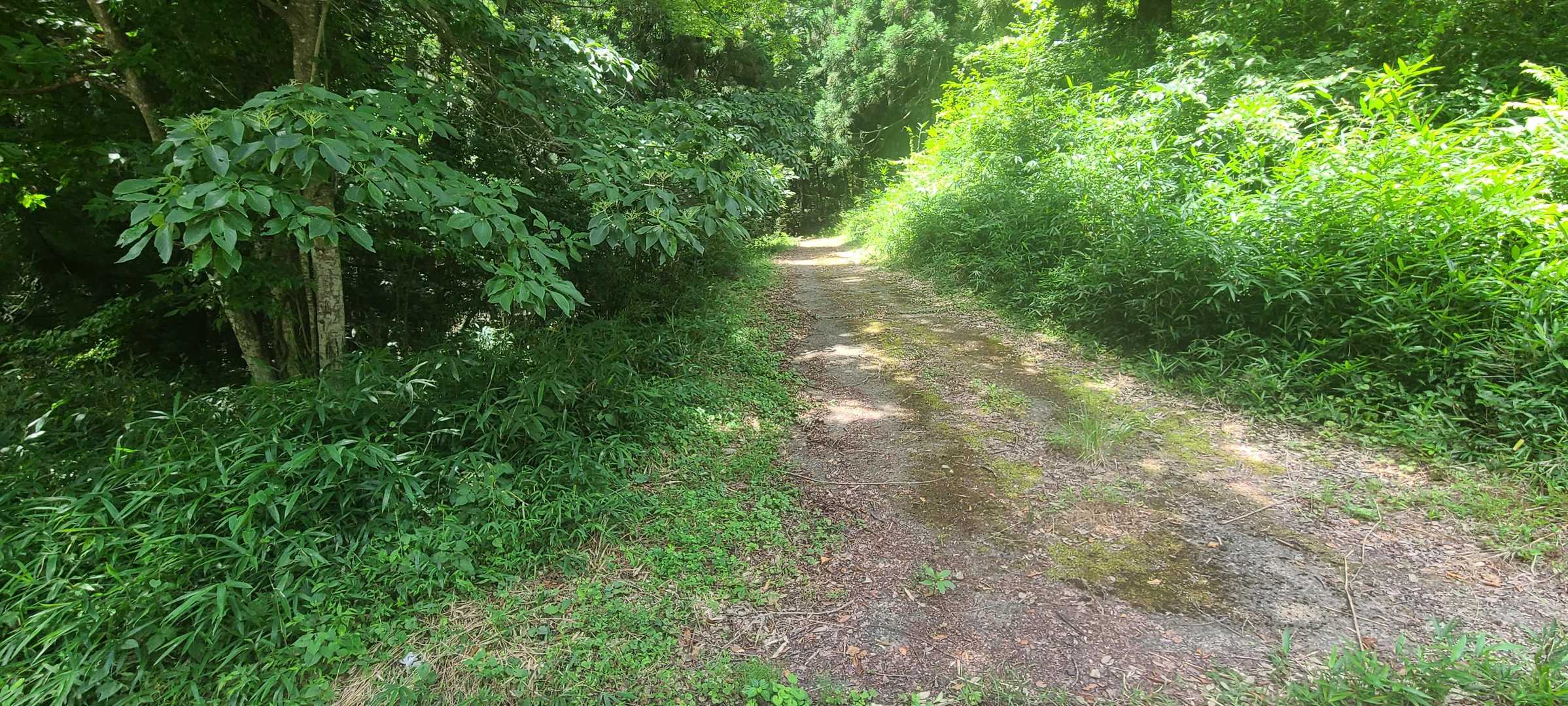 中国自然歩道入口-二上山 往復コースの写真
