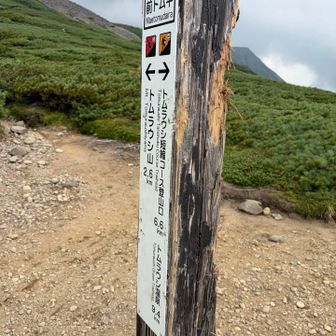 撮影はこれが最後。
17時までに下山完了したくて、激下りに夢中になりました。やはり登りでかなり下ったところを下山で登り返したけど、今までにないくらいのヘロヘロになりました😵
その後長い長い木道を激下りして無事17時前にゴール。
帰りにはトムラウシ温泉へ♨️
トロンとした柔らかい泉質と心地よい温度でした。
次来るならトムラウシも温泉も全部ゆっくり満喫したいです。また来るよ🖐️
1人ではできなかったチャレンジ。感謝です🙏
おしまい