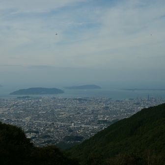 山頂、私一人だけ
ここで蚊に刺される😅
