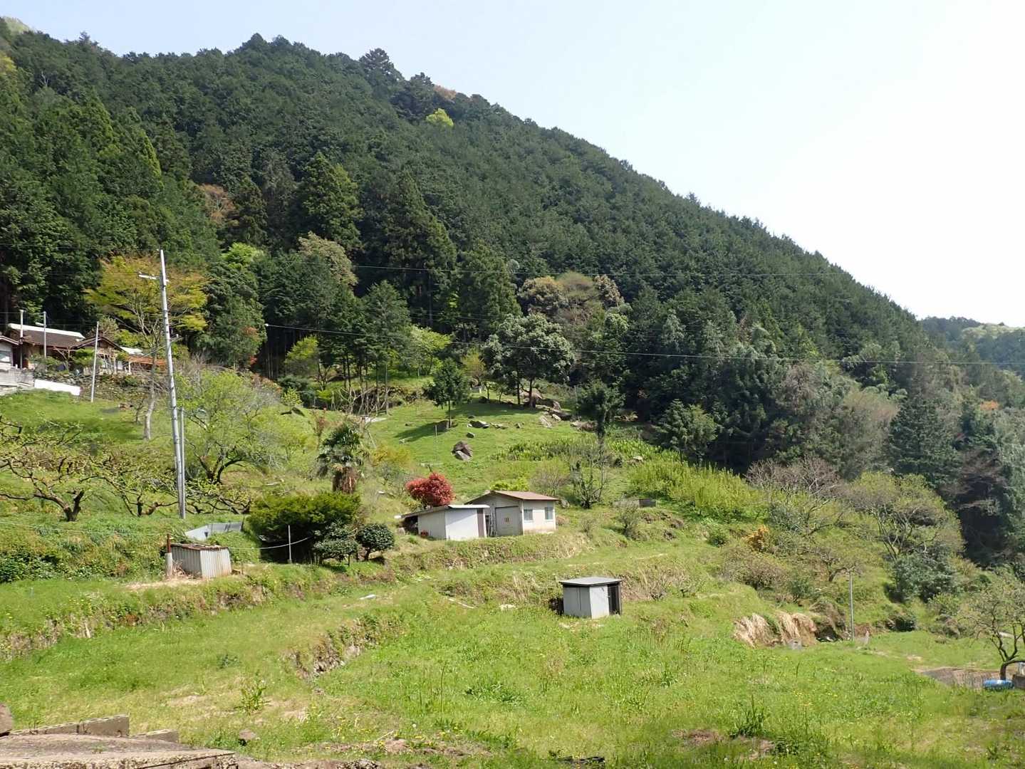 
長閑な里に降りてきました