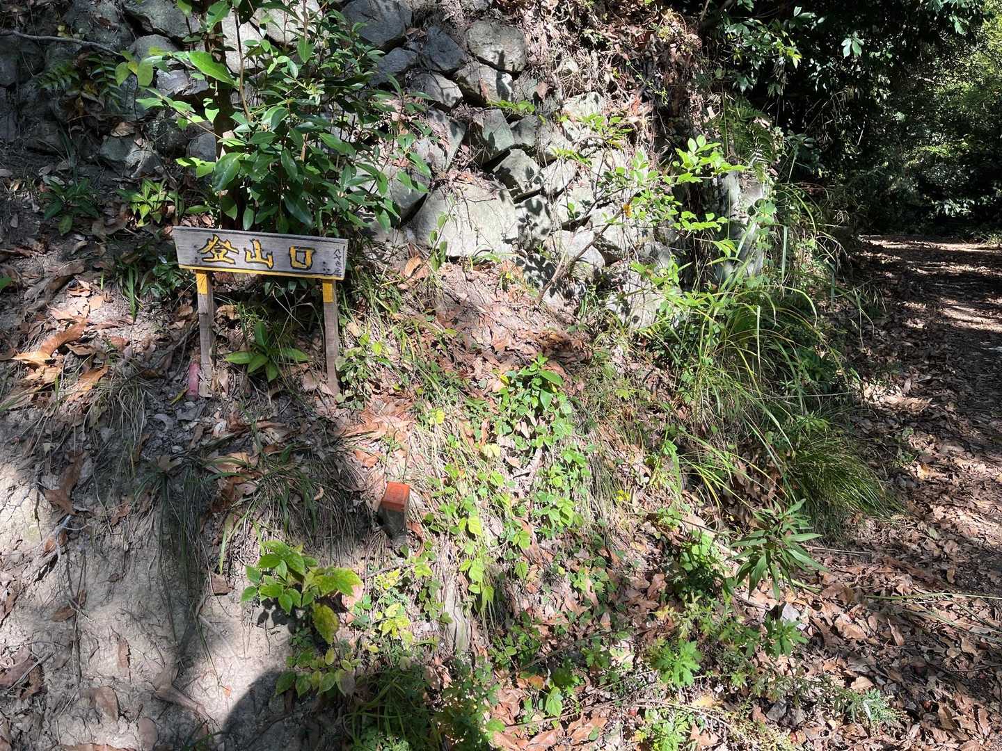 登山口に到着
さあ、頑張りますか(^^♪