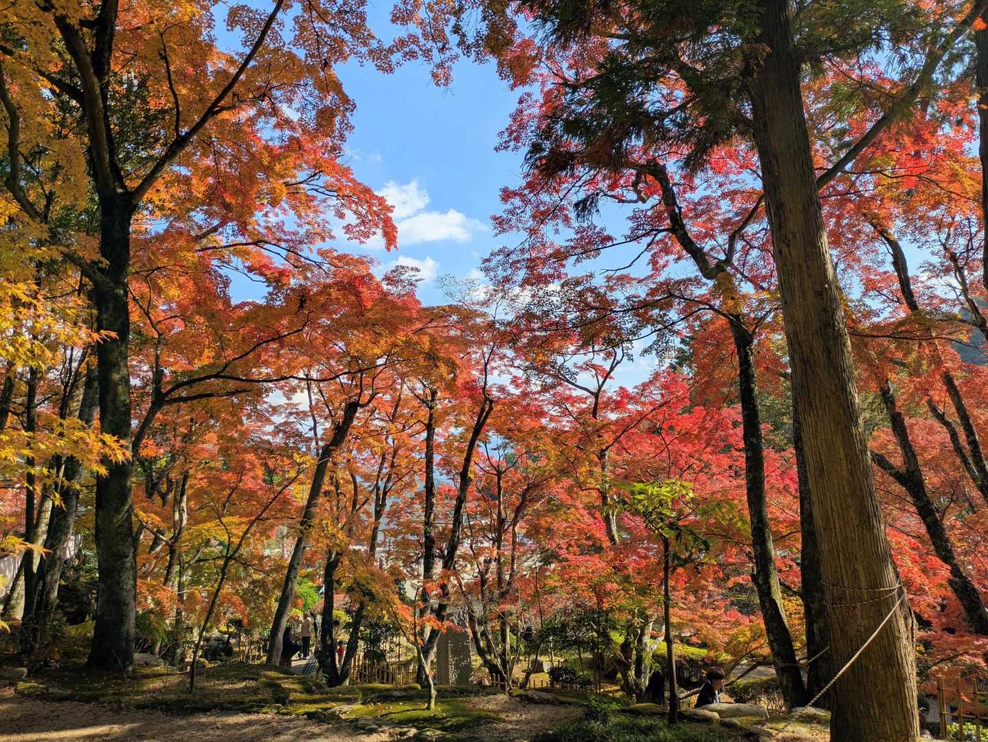 矢筈山・女体山登山口-女体山 (長尾） 往復コースの写真