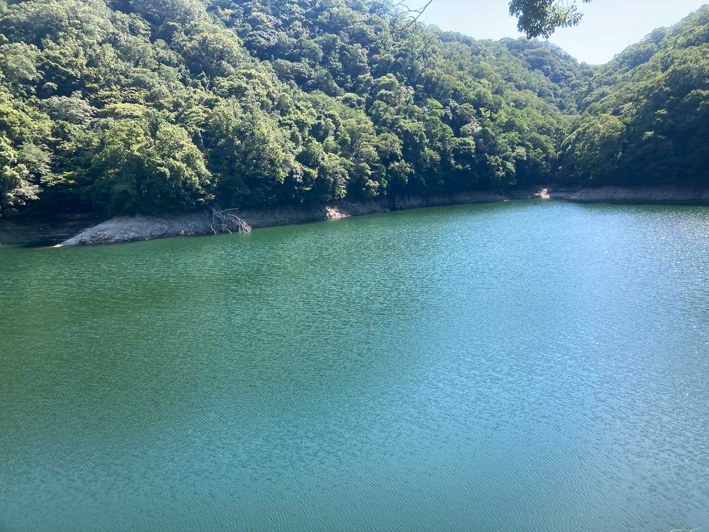濁ったエメラルドグリーン😆