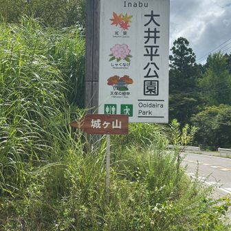 バスで豊田市駅から道の駅どんぐりいなぶまで。
道の駅からは歩いて大井平公園の登山口まで。

大井平公園にもバス停はあるけれど、オオキツネノカミソリ登山口と同じく、要予約⚠️