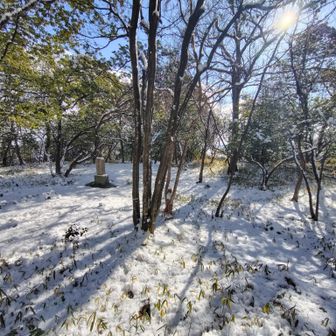 墓標みたいなのは城址碑なので安心だ