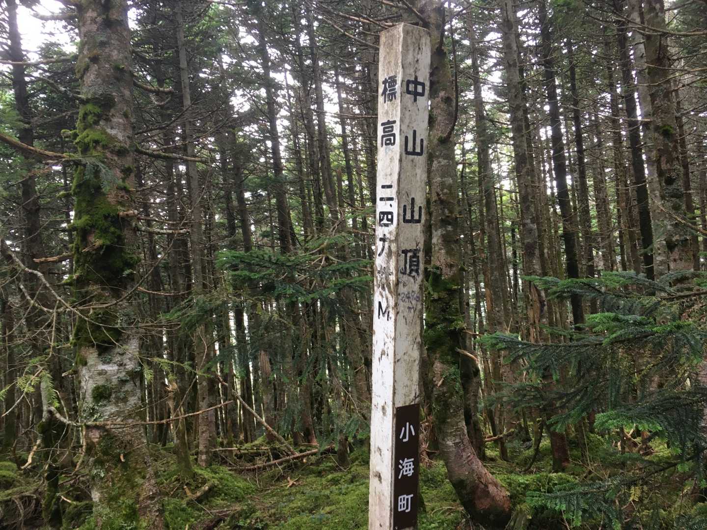 ニュウ・中山周回 | 幽玄な原生林と神秘の池から小さな岩峰を越え、天狗岳の絶景への写真