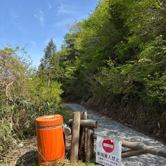 ずーっと青空でした☀️
ここから登りました