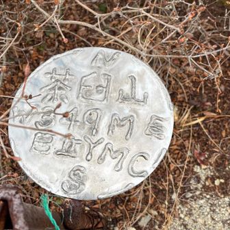 続いてゲット👍