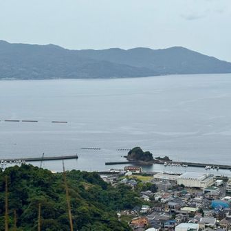 静岡➀沼津アルプス(リベンジ3座)BD山行☔️ / ともの登山データ
