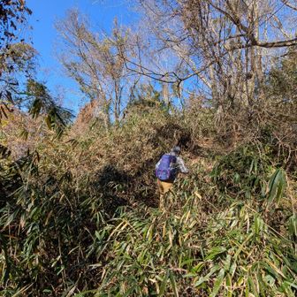 YAMAPMAPのクチコミ参考に、
登山口です
未熟な私には、考えられない変なとこ