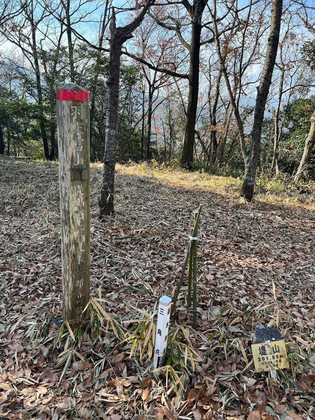 ③羽床富士（はゆかふじ）、とーちゃく😀 