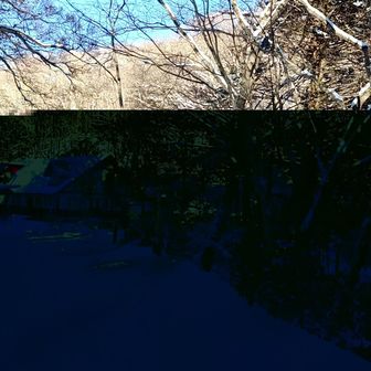 寒さでスマホばぐる