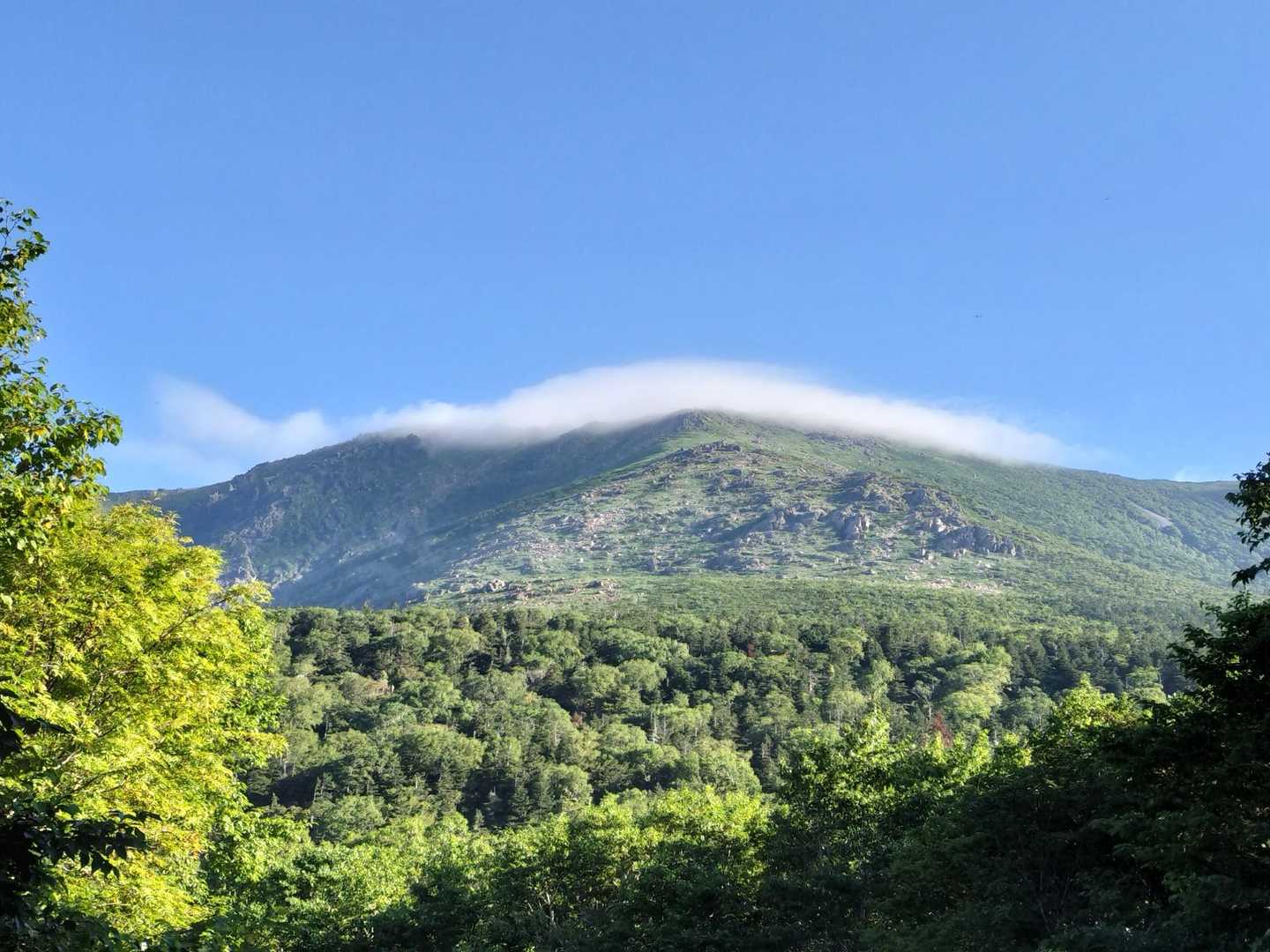 小田越までの車道歩きの途中で眺める早池峰山
テンション上がります