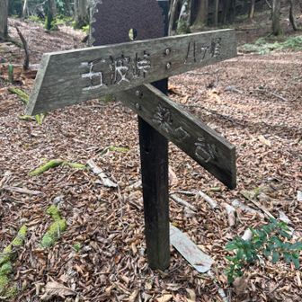 おおい町側の麓にある八ヶ峰家族旅行村への分岐