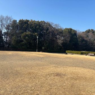 東山の山頂はこの広場