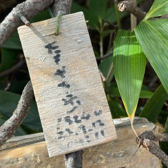 「田茂萢岳」

八甲田ロープウェー山頂公園駅の近くにある山で、散策や軽い登山の立ち寄り先として知られています。 
周辺には自然研究路もあり、比較的歩きやすいコース情報が見られます。

これは山名標識なのかな？
ん〜…
読めない…

本日のピークハント終わりー！
無事に5座頂きました。

これから毛無岱湿原を通って下山するんだ。

樹林帯あり、ガレ場あり、ザレ場あり、湿原ありのバリエーションに富んでいて素敵なお山でした。

そしてやっぱりお天気は重要だなぁ…