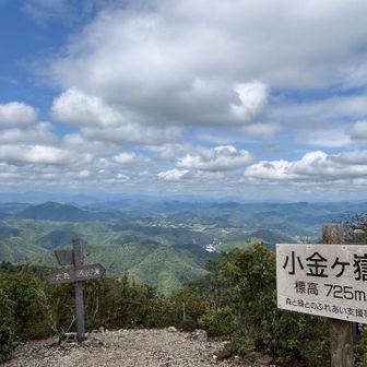 小金ヶ嶽ちゃく

ここから150m下って、グレーピークの畑山に向かいます