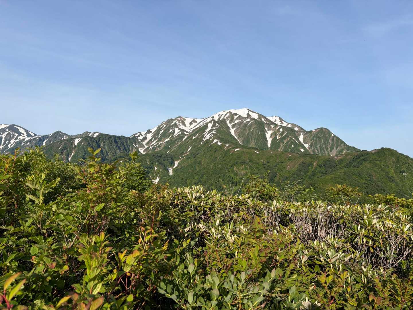 2時間以上登ってるが山頂は遥か彼方（泣）
ここまで急登が続いて既に滝汗😓