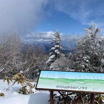 晴れてきましたー✨